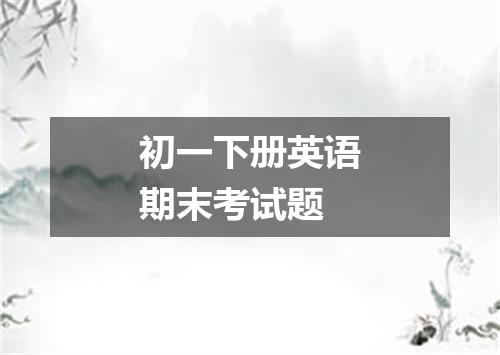初一下册英语期末考试题