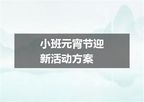 小班元宵节迎新活动方案