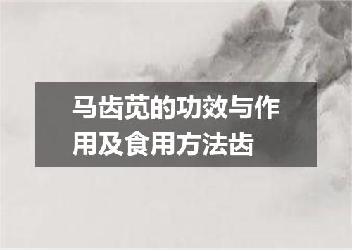 马齿苋的功效与作用及食用方法齿