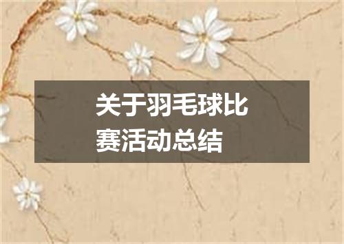 关于羽毛球比赛活动总结