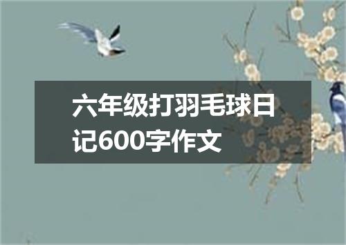 六年级打羽毛球日记600字作文
