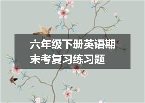 六年级下册英语期末考复习练习题
