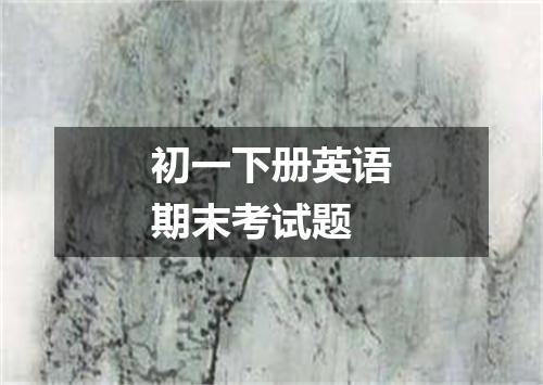 初一下册英语期末考试题