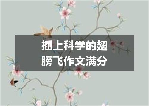 插上科学的翅膀飞作文满分