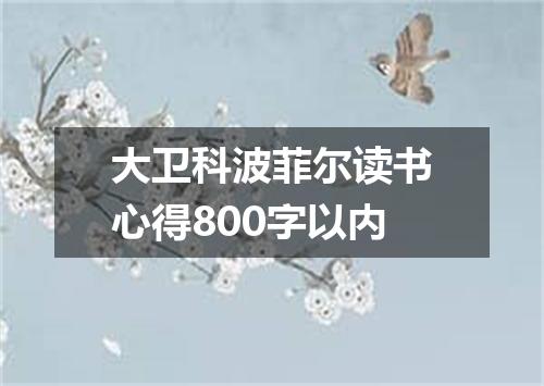 大卫科波菲尔读书心得800字以内