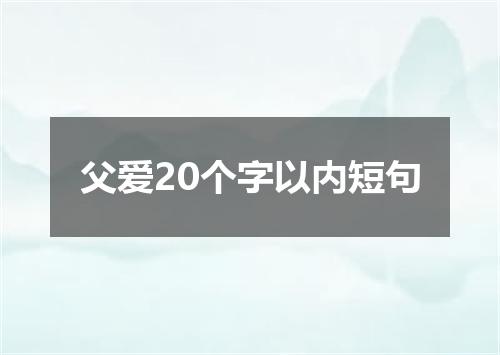 父爱20个字以内短句