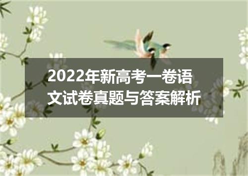 2022年新高考一卷语文试卷真题与答案解析