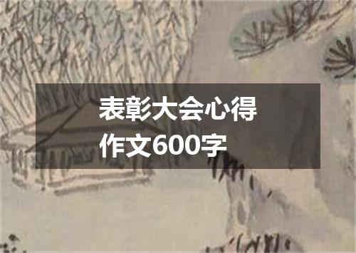 表彰大会心得作文600字