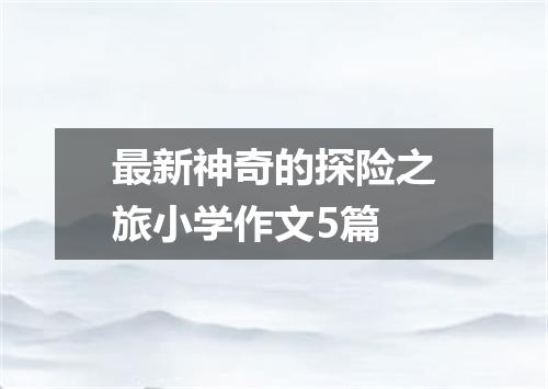 最新神奇的探险之旅小学作文5篇