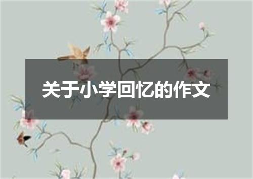 关于小学回忆的作文