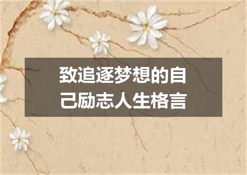 致追逐梦想的自己励志人生格言