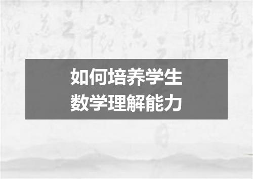 如何培养学生数学理解能力