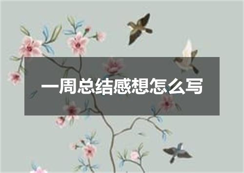 一周总结感想怎么写