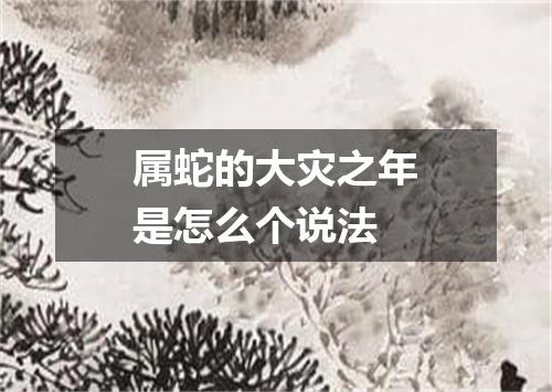 属蛇的大灾之年是怎么个说法