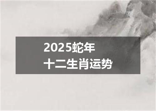 2025蛇年十二生肖运势