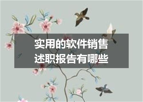 实用的软件销售述职报告有哪些