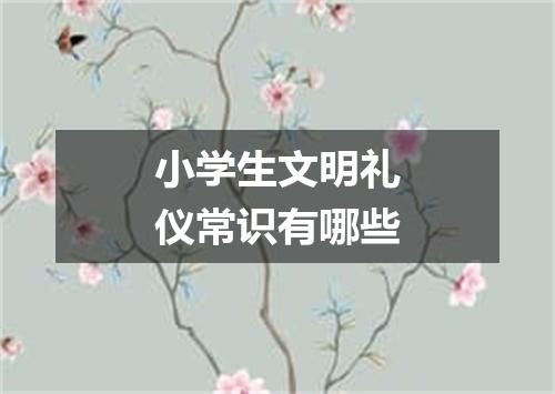小学生文明礼仪常识有哪些