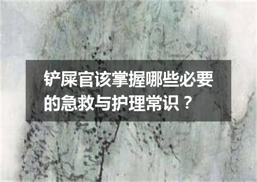 铲屎官该掌握哪些必要的急救与护理常识？