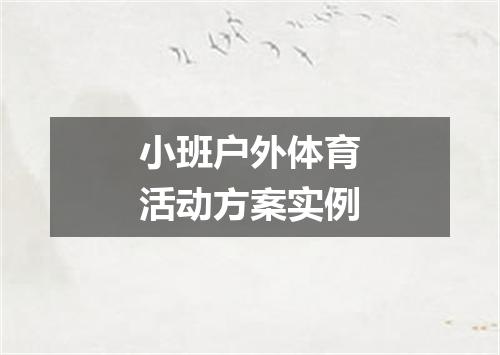 小班户外体育活动方案实例