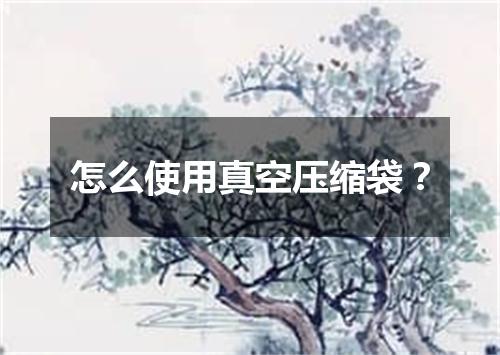 怎么使用真空压缩袋?