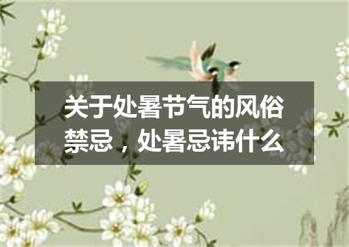 关于处暑节气的风俗禁忌，处暑忌讳什么