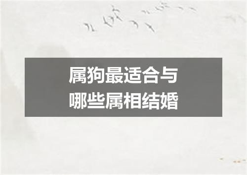 属狗最适合与哪些属相结婚