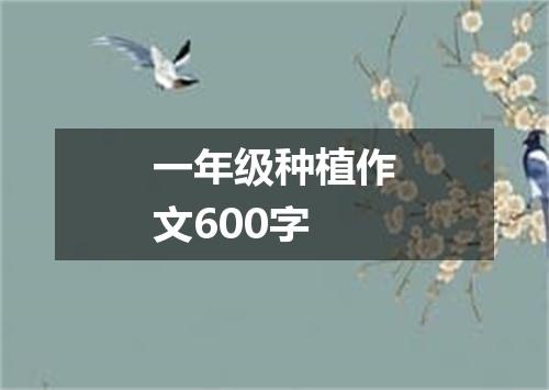 一年级种植作文600字