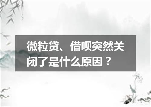 微粒贷、借呗突然关闭了是什么原因？
