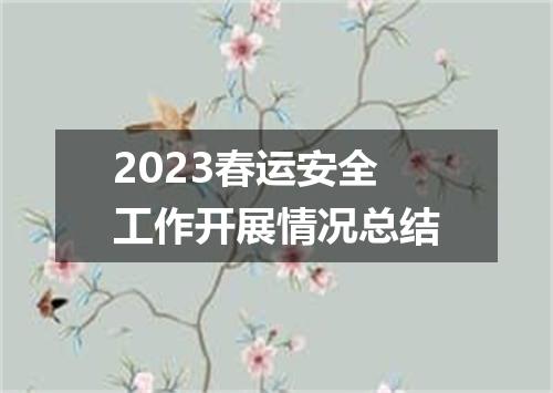 2023春运安全工作开展情况总结