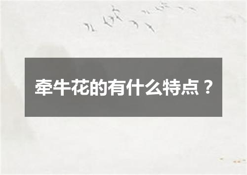 牵牛花的有什么特点？