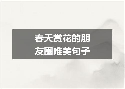 春天赏花的朋友圈唯美句子