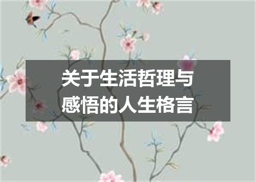 关于生活哲理与感悟的人生格言