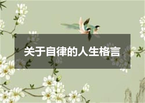 关于自律的人生格言