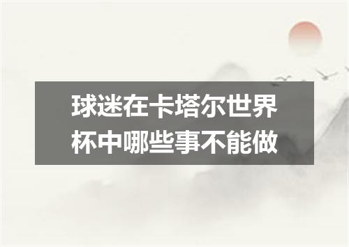 球迷在卡塔尔世界杯中哪些事不能做