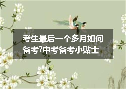 考生最后一个多月如何备考?中考备考小贴士