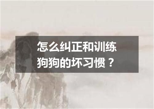 怎么纠正和训练狗狗的坏习惯？