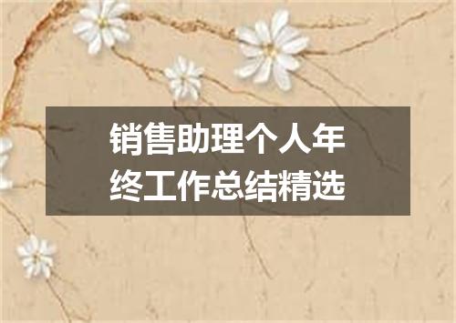 销售助理个人年终工作总结精选
