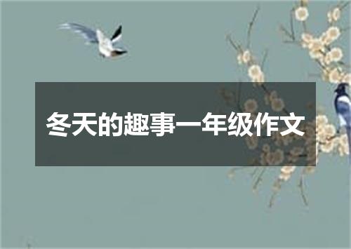 冬天的趣事一年级作文