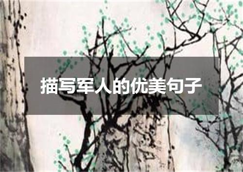 描写军人的优美句子