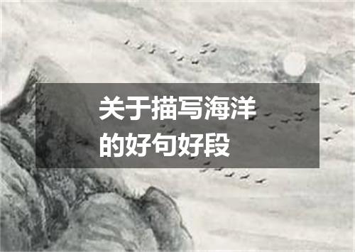 关于描写海洋的好句好段