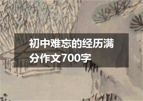 初中难忘的经历满分作文700字