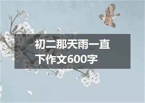 初二那天雨一直下作文600字