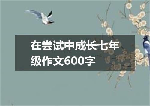 在尝试中成长七年级作文600字