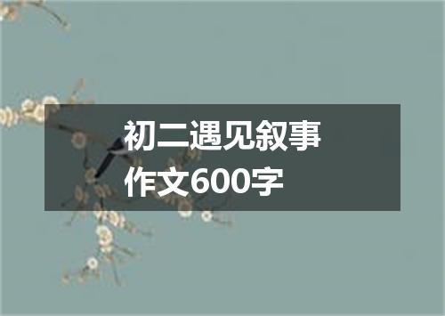 初二遇见叙事作文600字