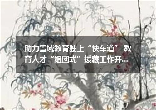 助力雪域教育驶上“快车道” 教育人才“组团式”援藏工作开展情况综述