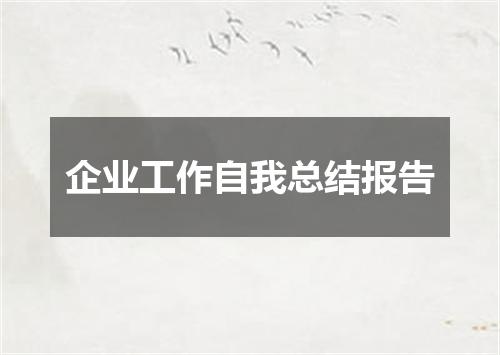 企业工作自我总结报告
