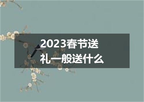 2023春节送礼一般送什么