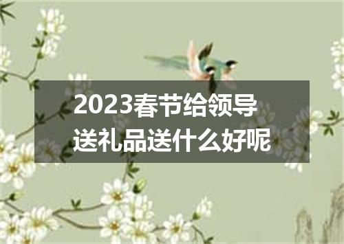 2023春节给领导送礼品送什么好呢