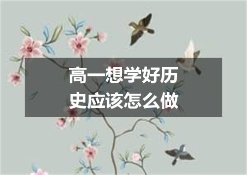 高一想学好历史应该怎么做