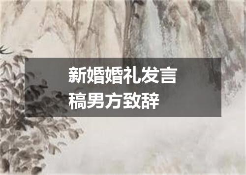 新婚婚礼发言稿男方致辞